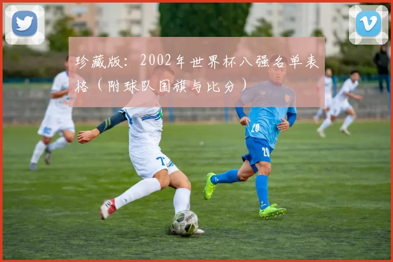 珍藏版:2002年世界杯八强名单表格(附球队国旗与比分)