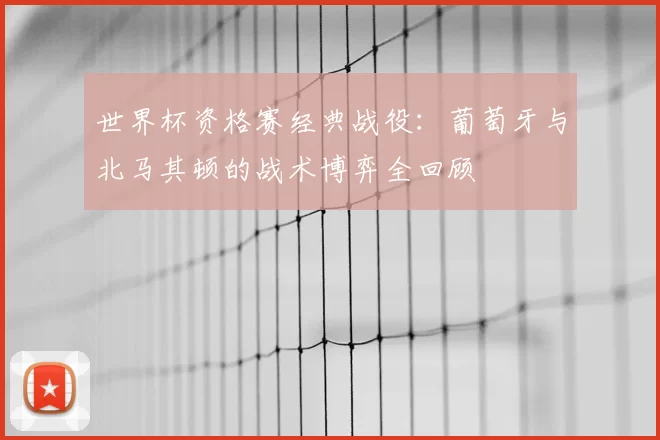 世界杯资格赛经典战役:葡萄牙与北马其顿的战术博弈全回顾
