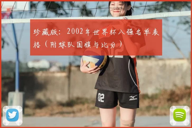 珍藏版:2002年世界杯八强名单表格(附球队国旗与比分)