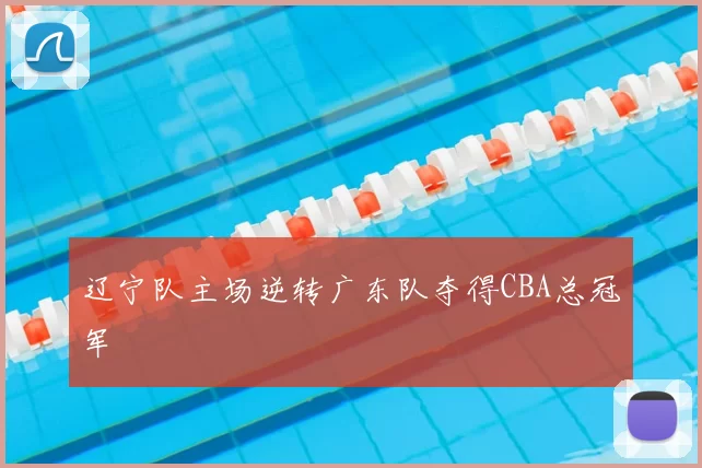 辽宁队主场逆转广东队夺得CBA总冠军