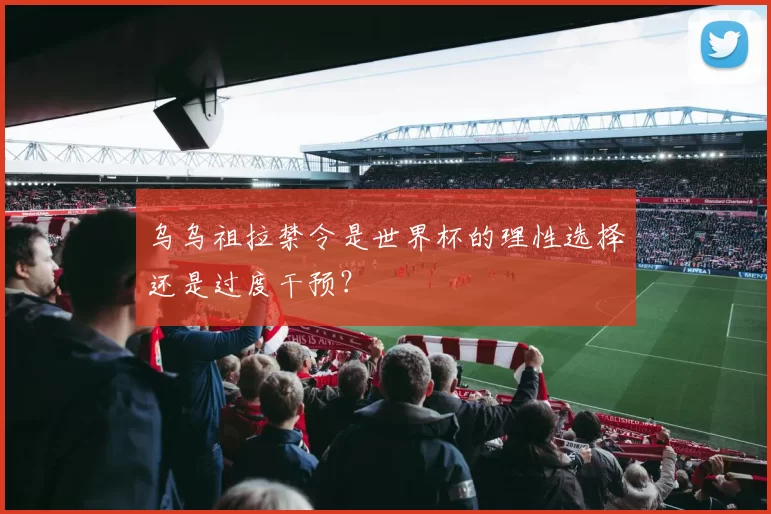 乌乌祖拉禁令是世界杯的理性选择还是过度干预?