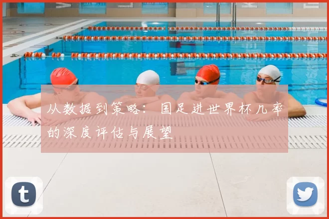 从数据到策略:国足进世界杯几率的深度评估与展望