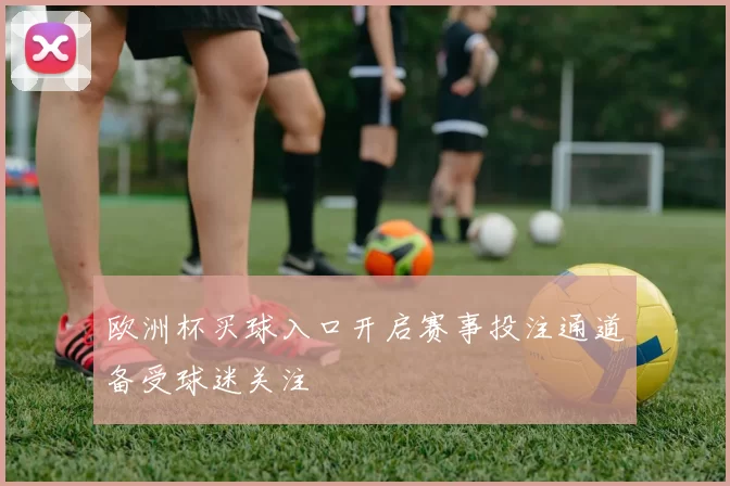 欧洲杯买球入口开启赛事投注通道备受球迷关注