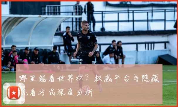 哪里能看世界杯？权威平台与隐藏观看方式深度分析