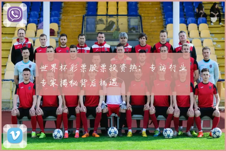 世界杯彩票股票投资热:专访行业专家揭秘背后机遇