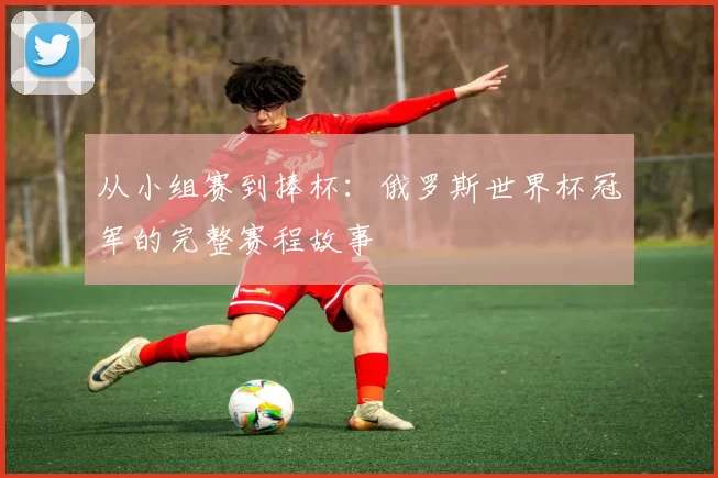 从小组赛到捧杯:俄罗斯世界杯冠军的完整赛程故事