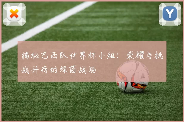揭秘巴西队世界杯小组:荣耀与挑战并存的绿茵战场