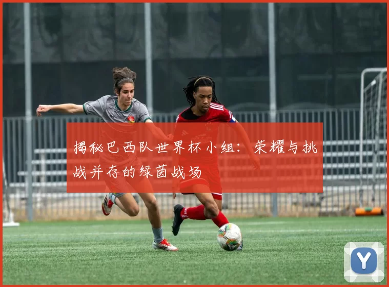 揭秘巴西队世界杯小组:荣耀与挑战并存的绿茵战场